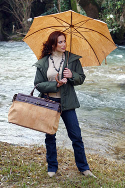 A Day in the Rain