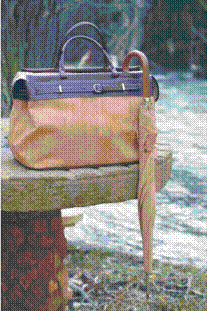 Cork Umbrella and Luggage