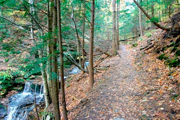The paths we have walked with others