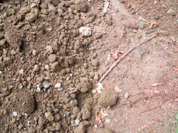 Stone and Gravel